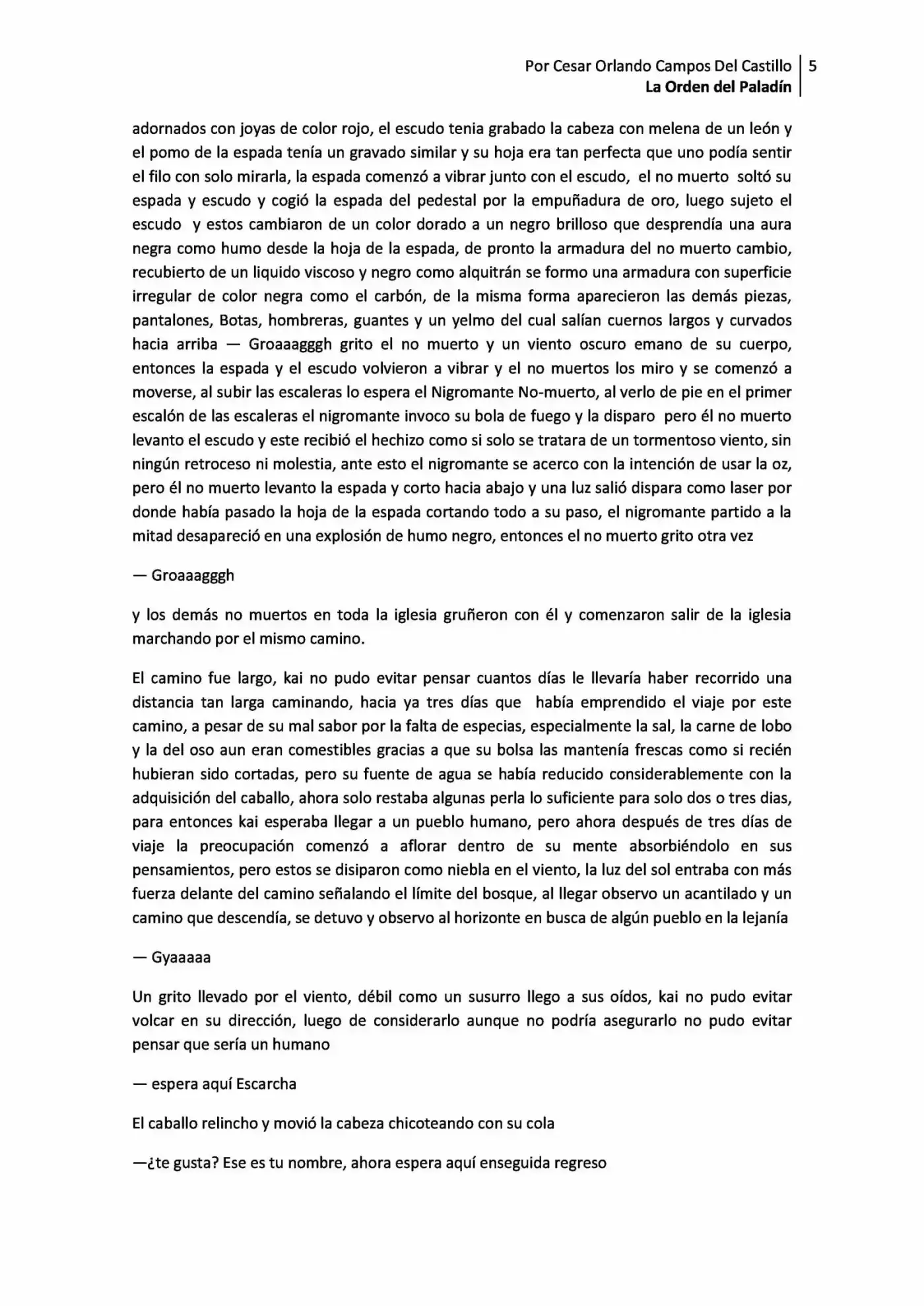 La Orden Del Paladin (Novela) - Capítulo 2.10 - Página 5 - LectorTMOo