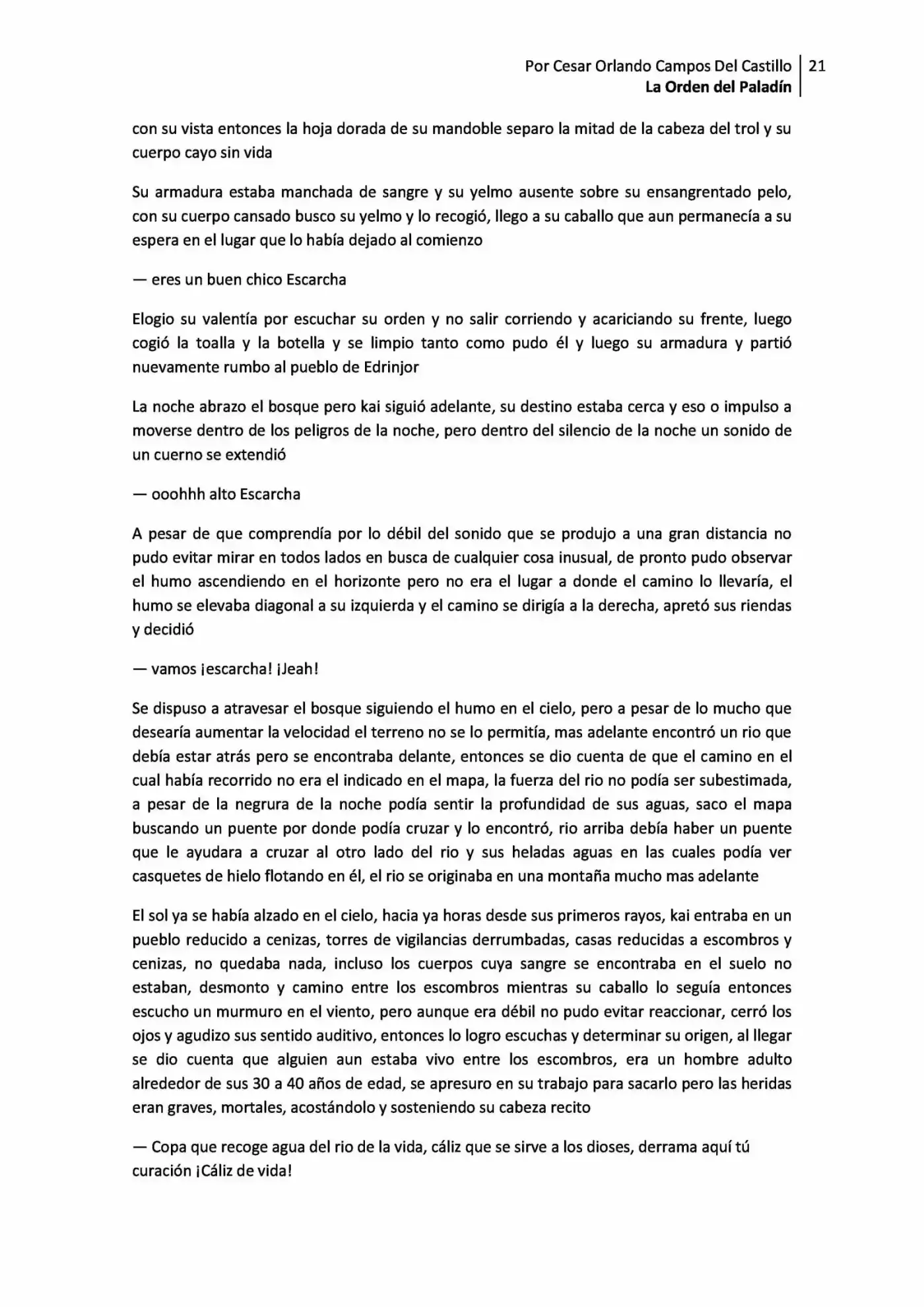 La Orden Del Paladin (Novela) - Capítulo 2.10 - Página 21 - LectorTMOo