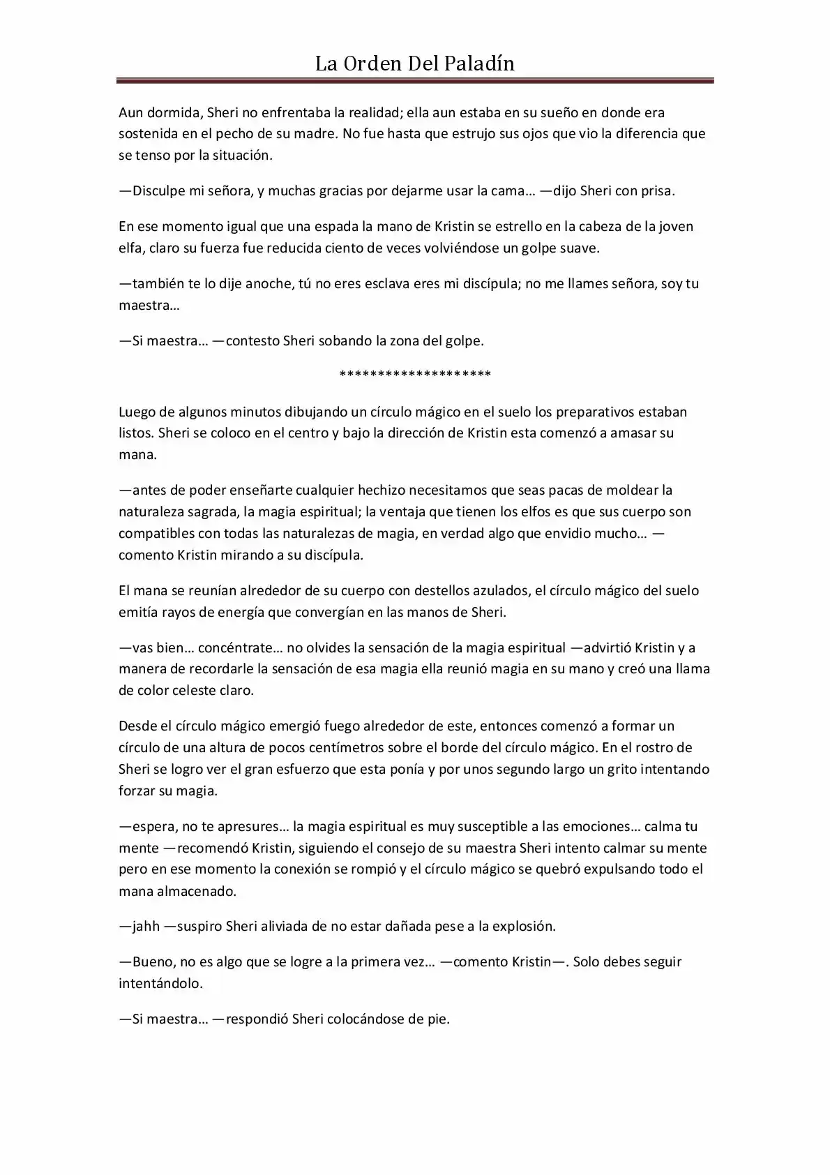 La Orden Del Paladin (Novela) - Capítulo 20 - Página 3 - LectorTMOo