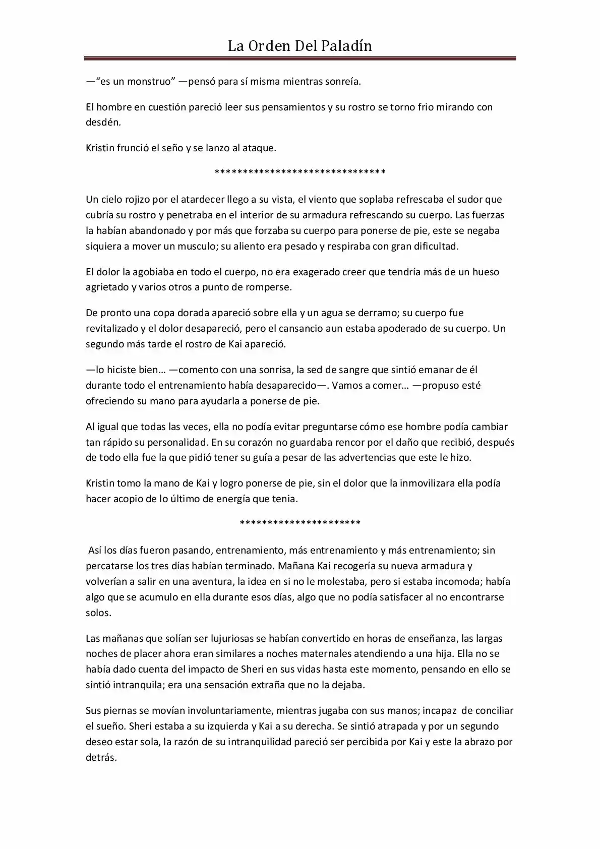 La Orden Del Paladin (Novela) - Capítulo 20 - Página 10 - LectorTMOo
