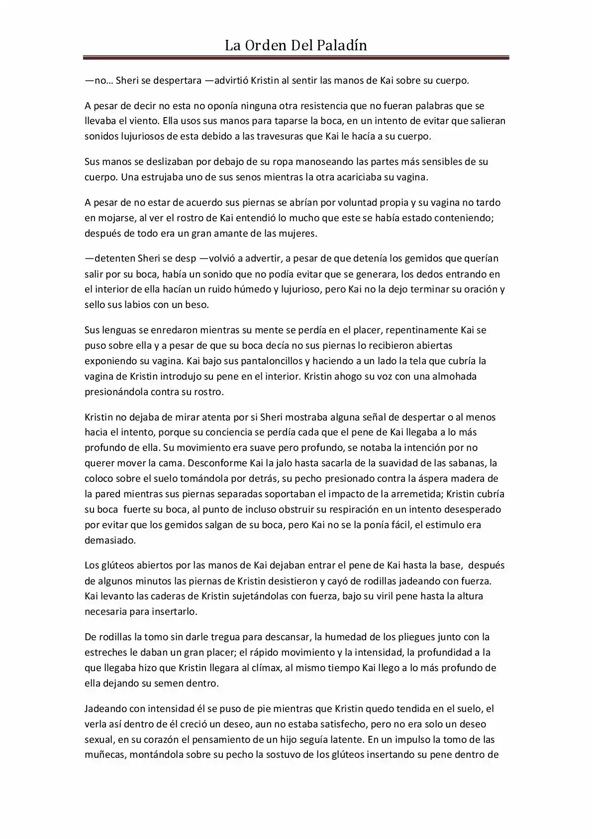 La Orden Del Paladin (Novela) - Capítulo 20 - Página 11 - LectorTMOo