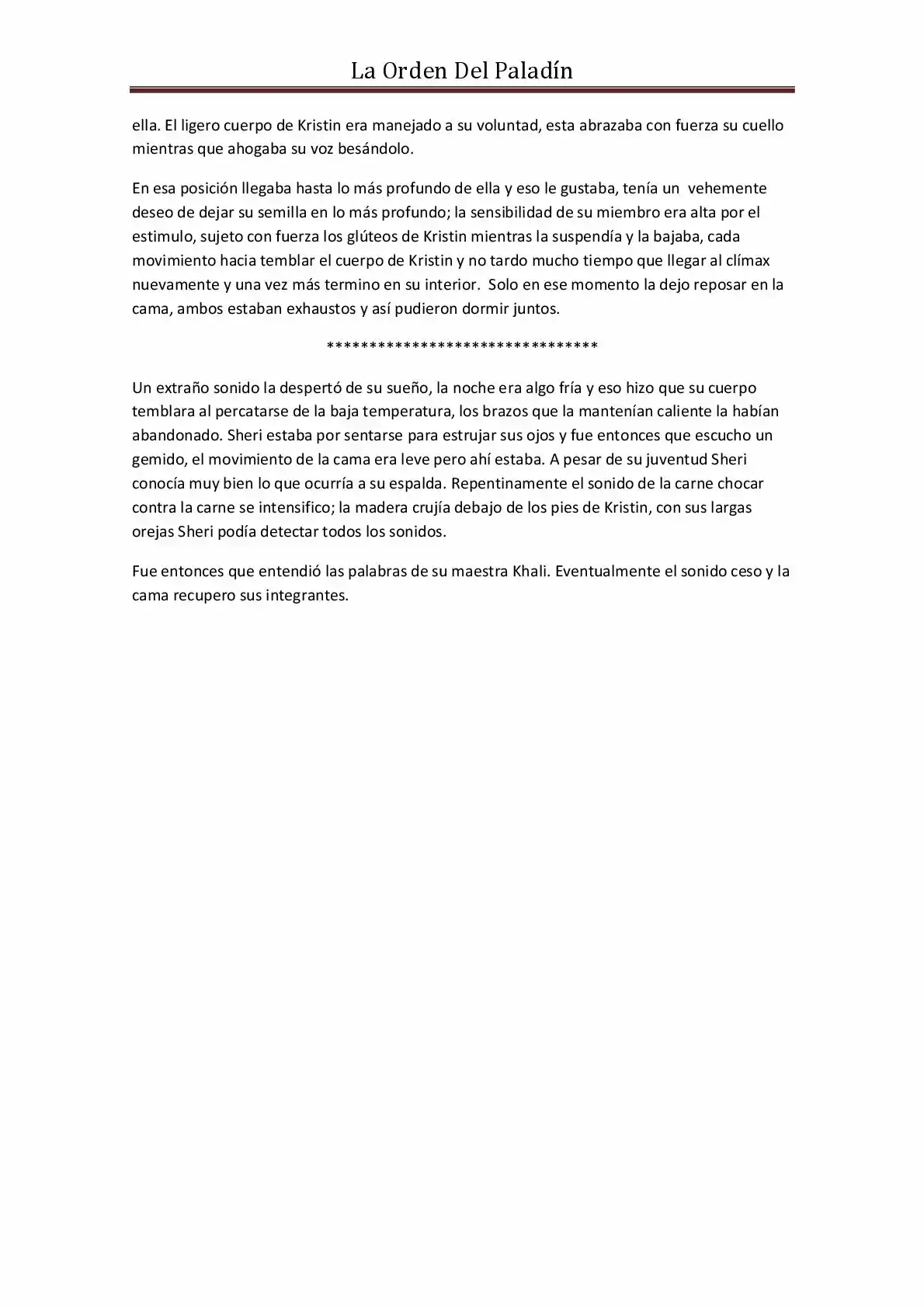 La Orden Del Paladin (Novela) - Capítulo 20 - Página 12 - LectorTMOo