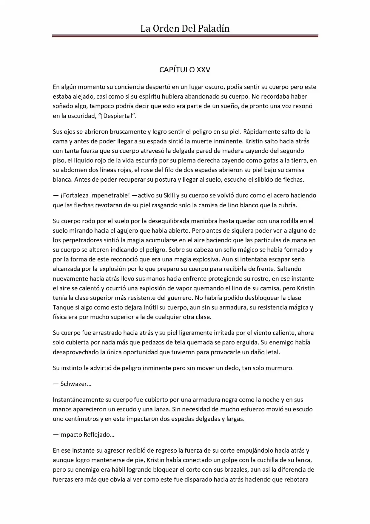 La Orden Del Paladin (Novela) - Capítulo 25 - Página 2 - LectorTMOo