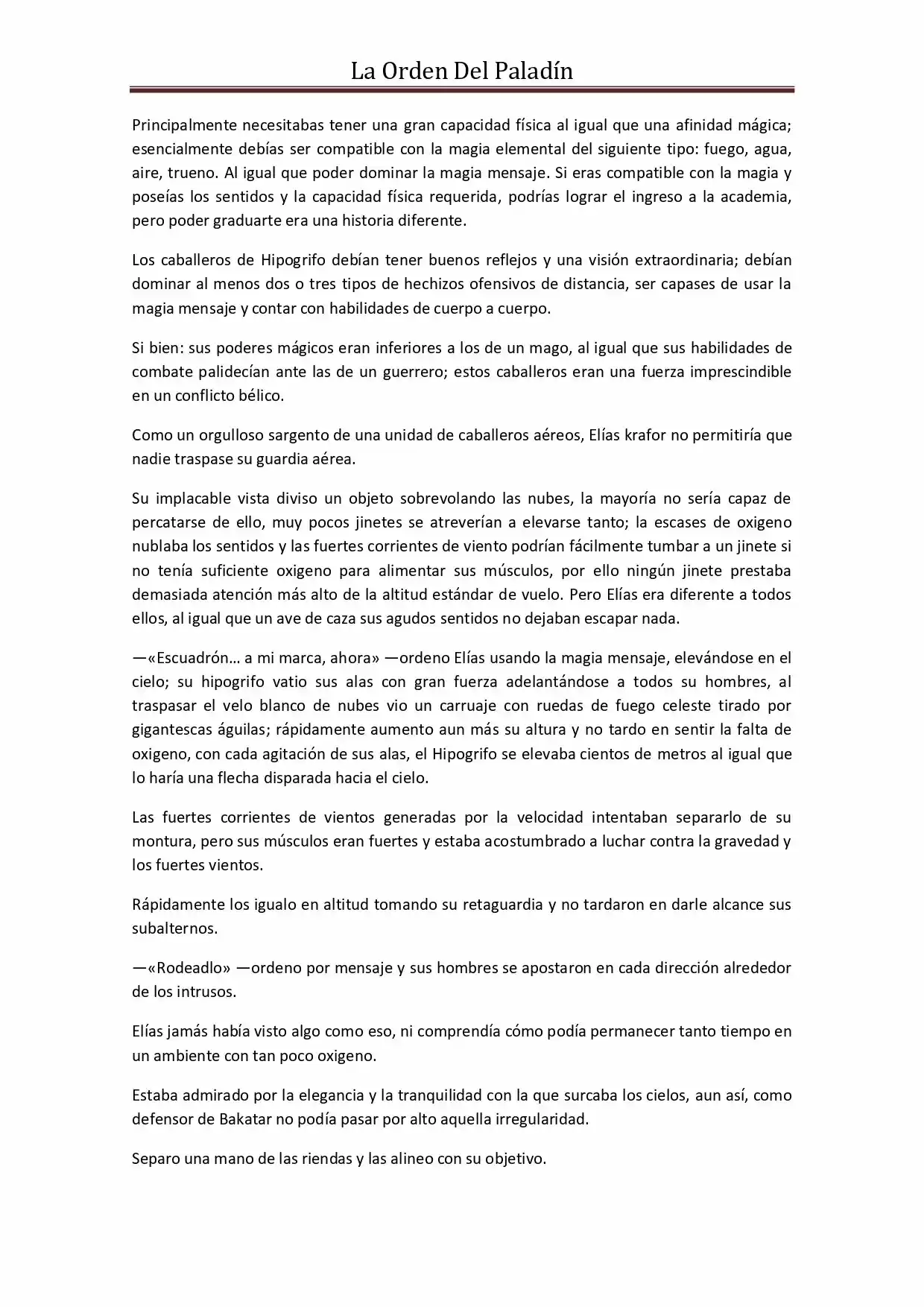 La Orden Del Paladin (Novela) - Capítulo 28 - Página 3 - LectorTMOo