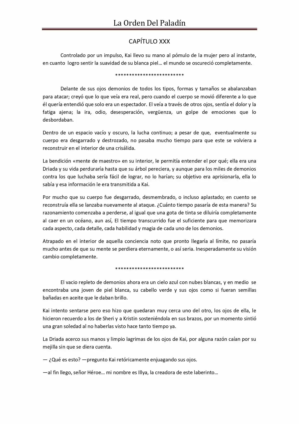 La Orden Del Paladin (Novela) - Capítulo 30 - Página 1 - LectorTMOo