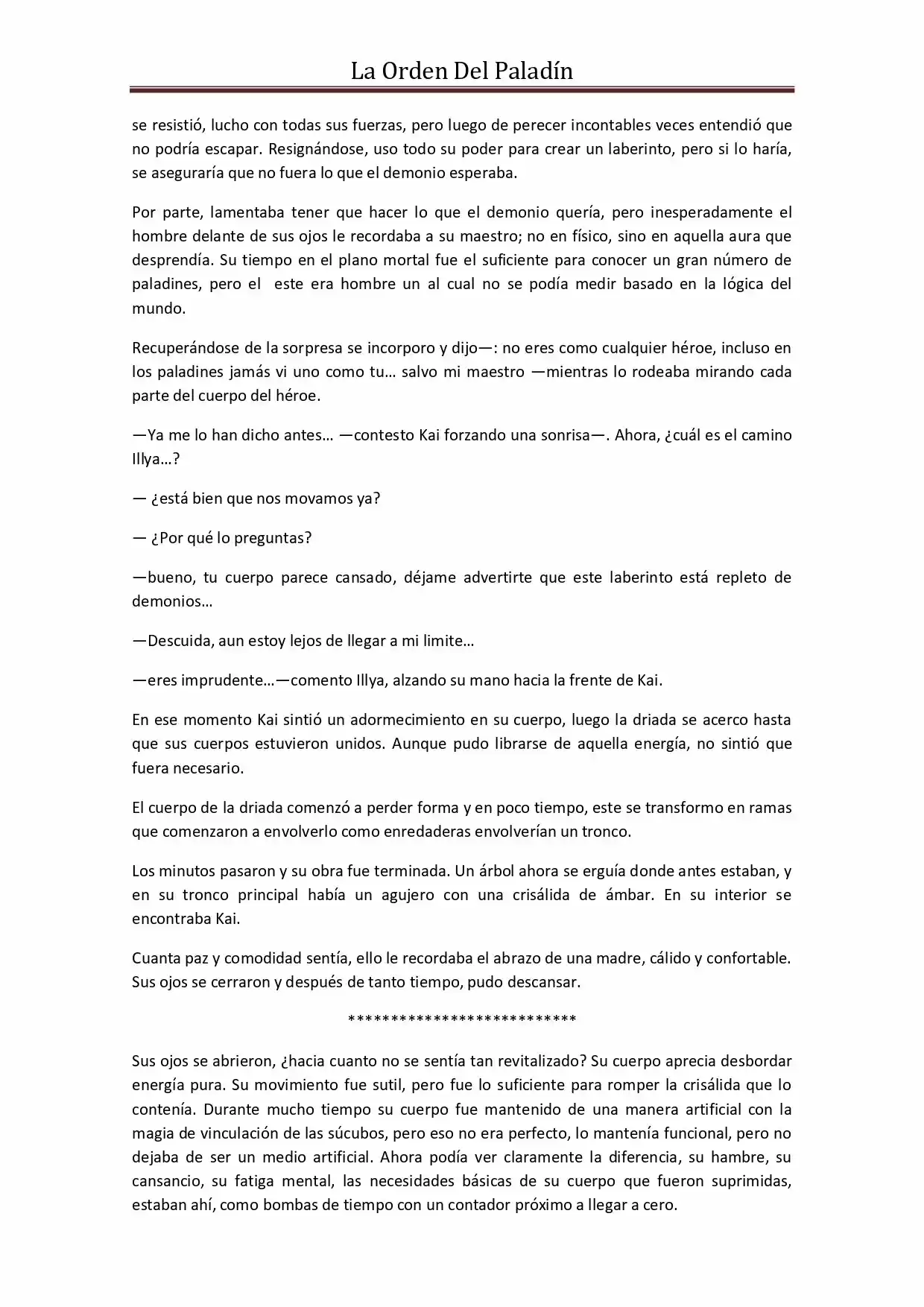 La Orden Del Paladin (Novela) - Capítulo 30 - Página 4 - LectorTMOo