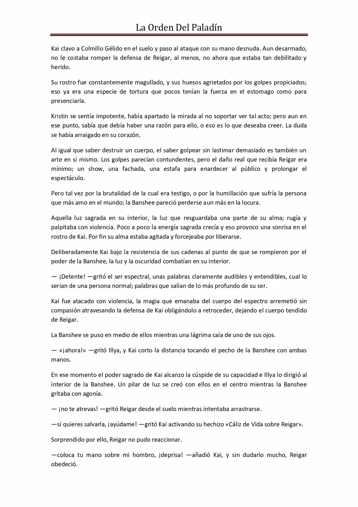 La Orden Del Paladin (Novela) - Capítulo 47 - Página 5 - LectorTMOo