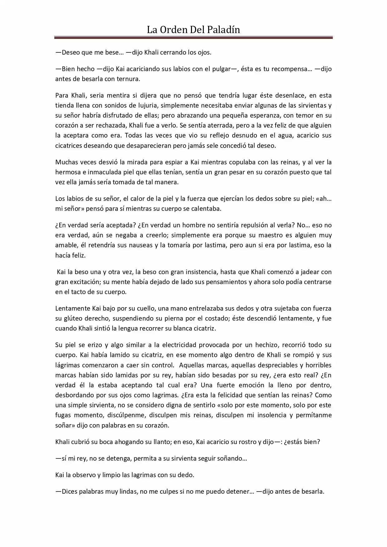 La Orden Del Paladin (Novela) - Capítulo 51 - Página 8 - LectorTMOo