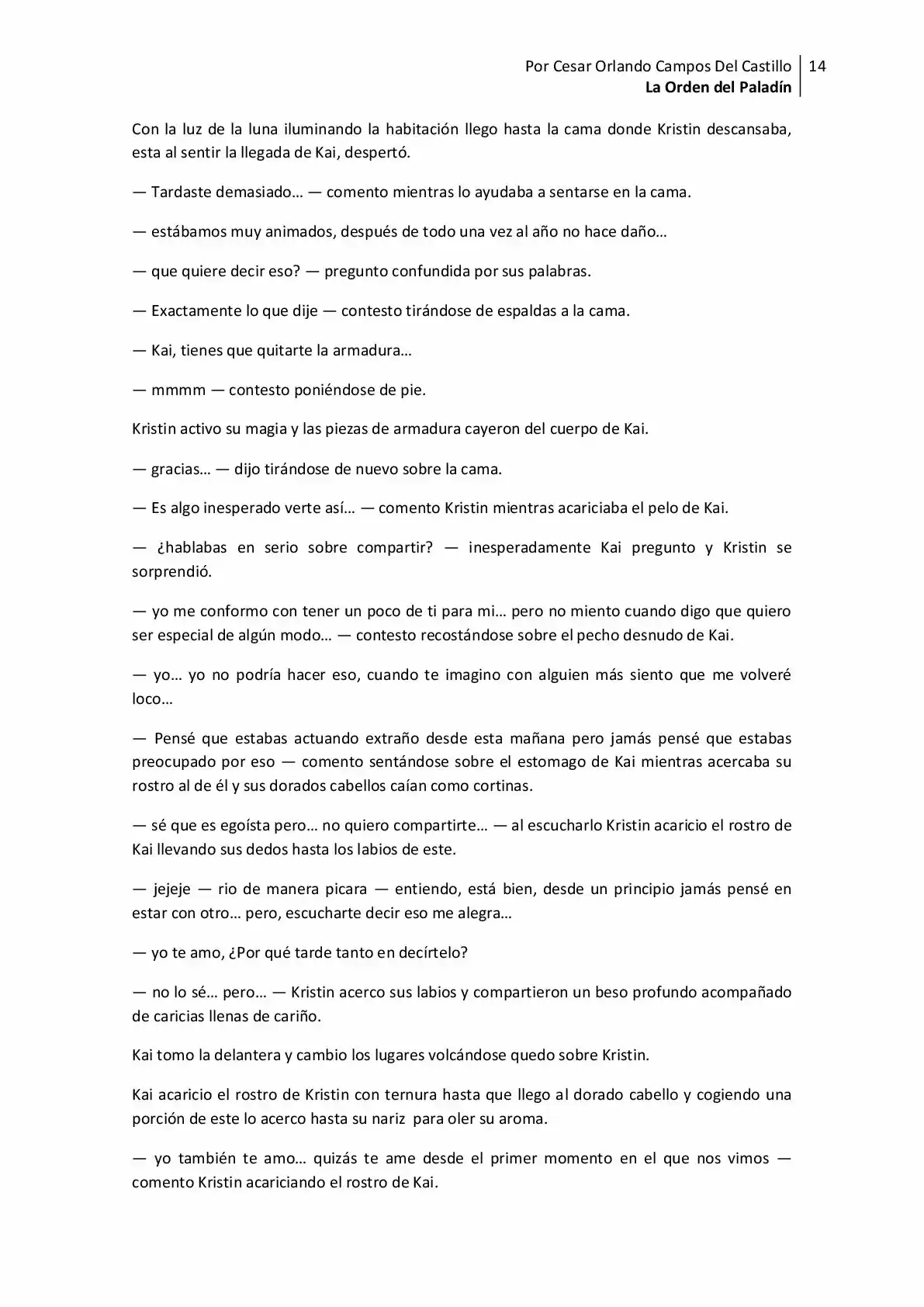 La Orden Del Paladin (Novela) - Capítulo 9 - Página 14 - LectorTMOo