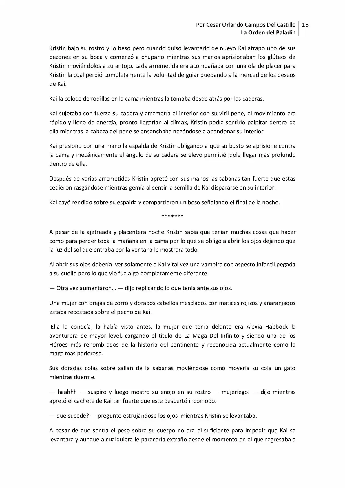 La Orden Del Paladin (Novela) - Capítulo 9 - Página 16 - LectorTMOo