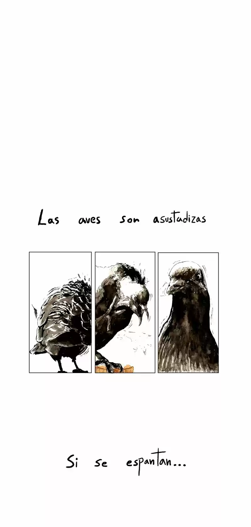 La Pajarera - Capítulo 2 - Página 5 - LectorTMOo