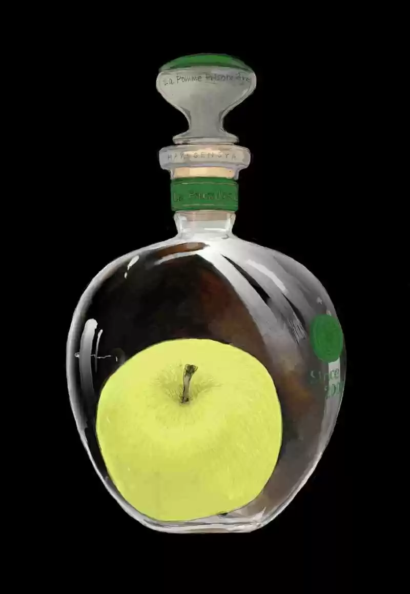 La Pomme Prisonniere - Capítulo 16 - Página 6 - LectorTMOo