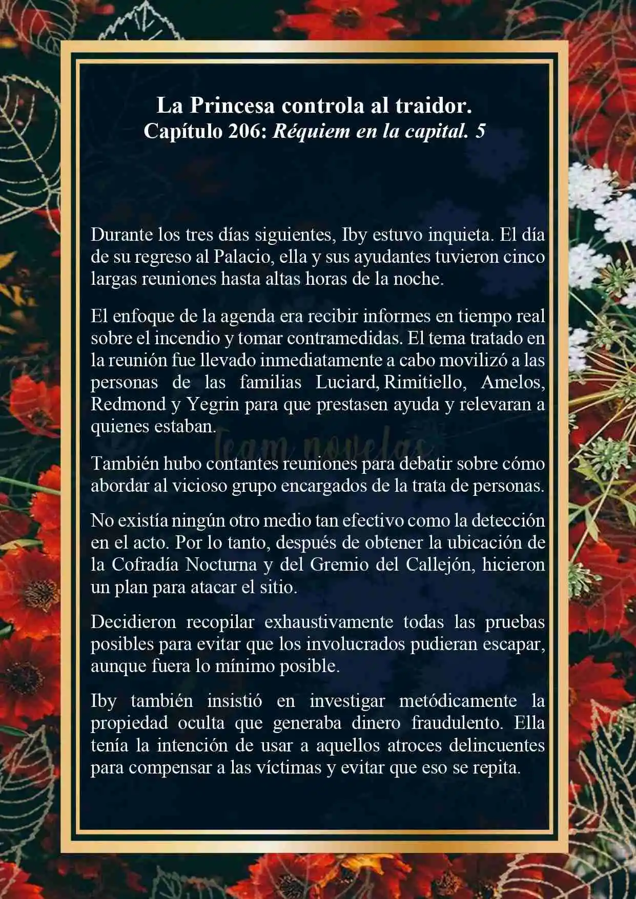 La Princesa Controla Al Traidor (Novela) - Capítulo 206 - Página 2 - LectorTMOo
