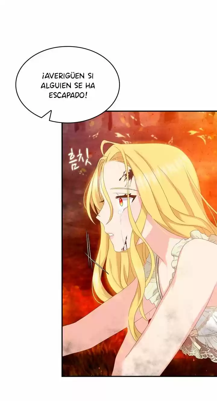 La Princesa De Dos Caras - Capítulo 36 - Página 33 - LectorTMOo