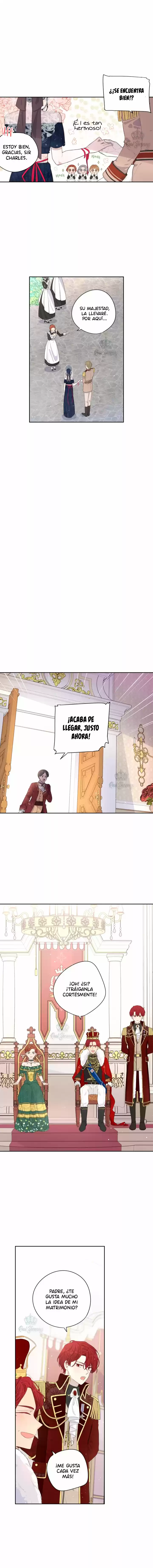 La Princesa Del Cabello Oscuro - Capítulo 1 - Página 9 - LectorTMOo