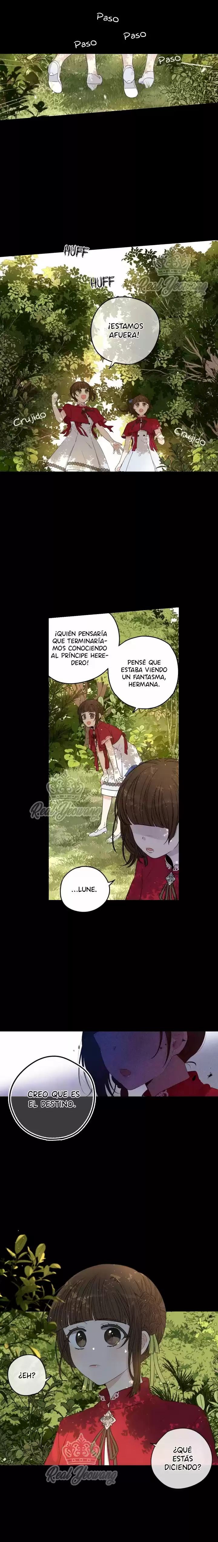 La Princesa Del Cabello Oscuro - Capítulo 11 - Página 11 - LectorTMOo