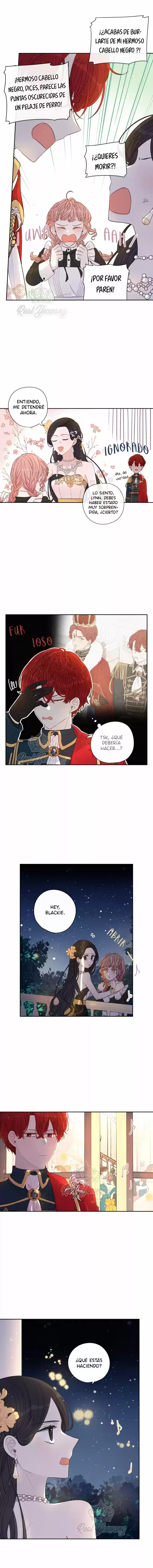La Princesa Del Cabello Oscuro - Capítulo 3 - Página 8 - LectorTMOo
