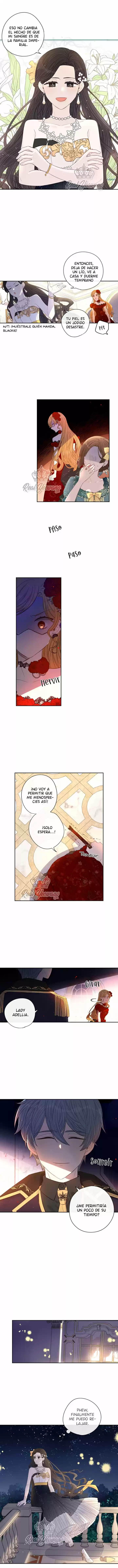 La Princesa Del Cabello Oscuro - Capítulo 4 - Página 8 - LectorTMOo