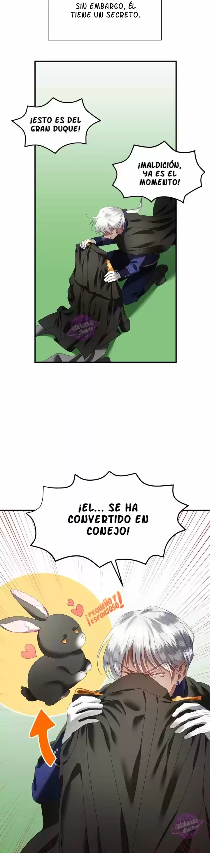 La Princesa Finge Estar Loca - Capítulo 2 - Página 15 - LectorTMOo