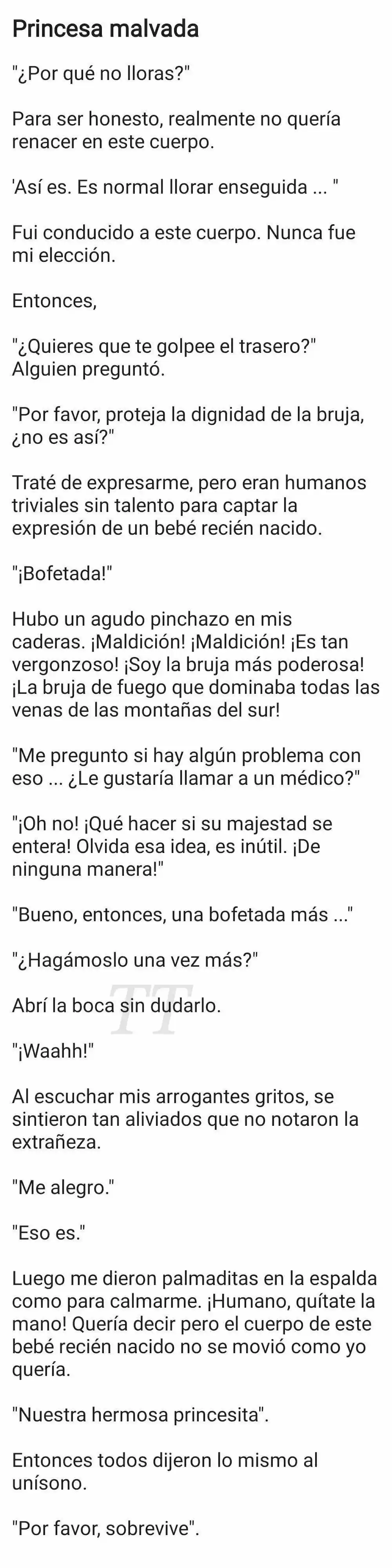 La Princesa Malvada (Novela) - Capítulo 1 - Página 3 - LectorTMOo