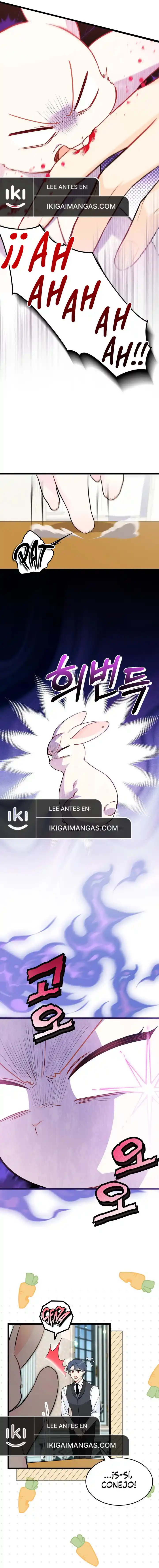 LA RELACIÓN DE LA LIEBRE Y LA PANTERA - Capítulo 152 - Página 4 - LectorTMOo