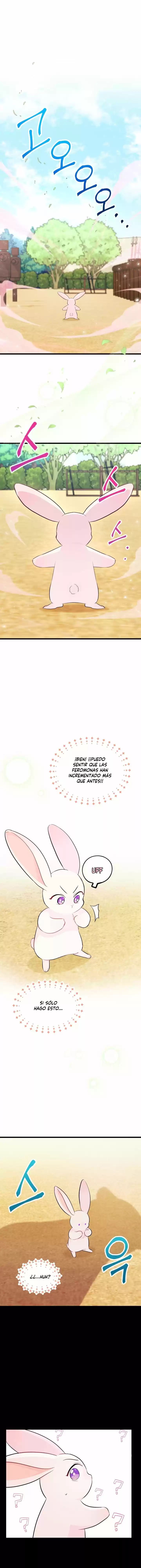 LA RELACIÓN DE LA LIEBRE Y LA PANTERA - Capítulo 23 - Página 2 - LectorTMOo