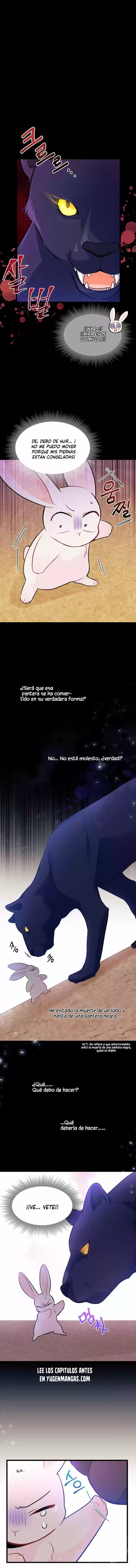 LA RELACIÓN DE LA LIEBRE Y LA PANTERA - Capítulo 23 - Página 4 - LectorTMOo