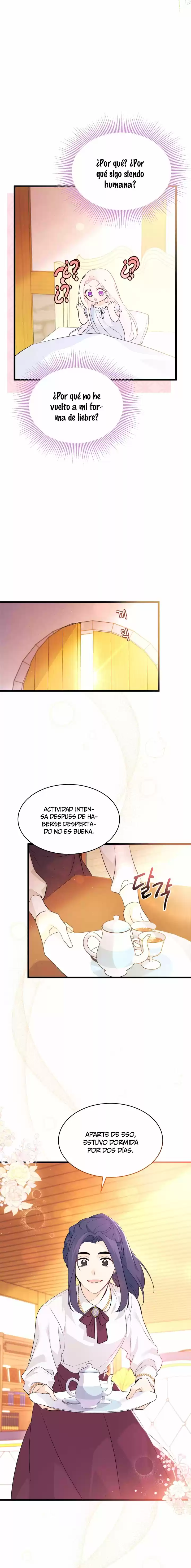LA RELACIÓN DE LA LIEBRE Y LA PANTERA - Capítulo 41 - Página 9 - LectorTMOo