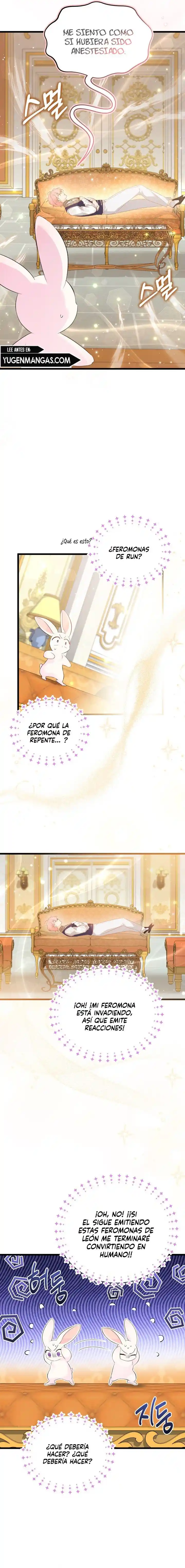 LA RELACIÓN DE LA LIEBRE Y LA PANTERA - Capítulo 63 - Página 5 - LectorTMOo