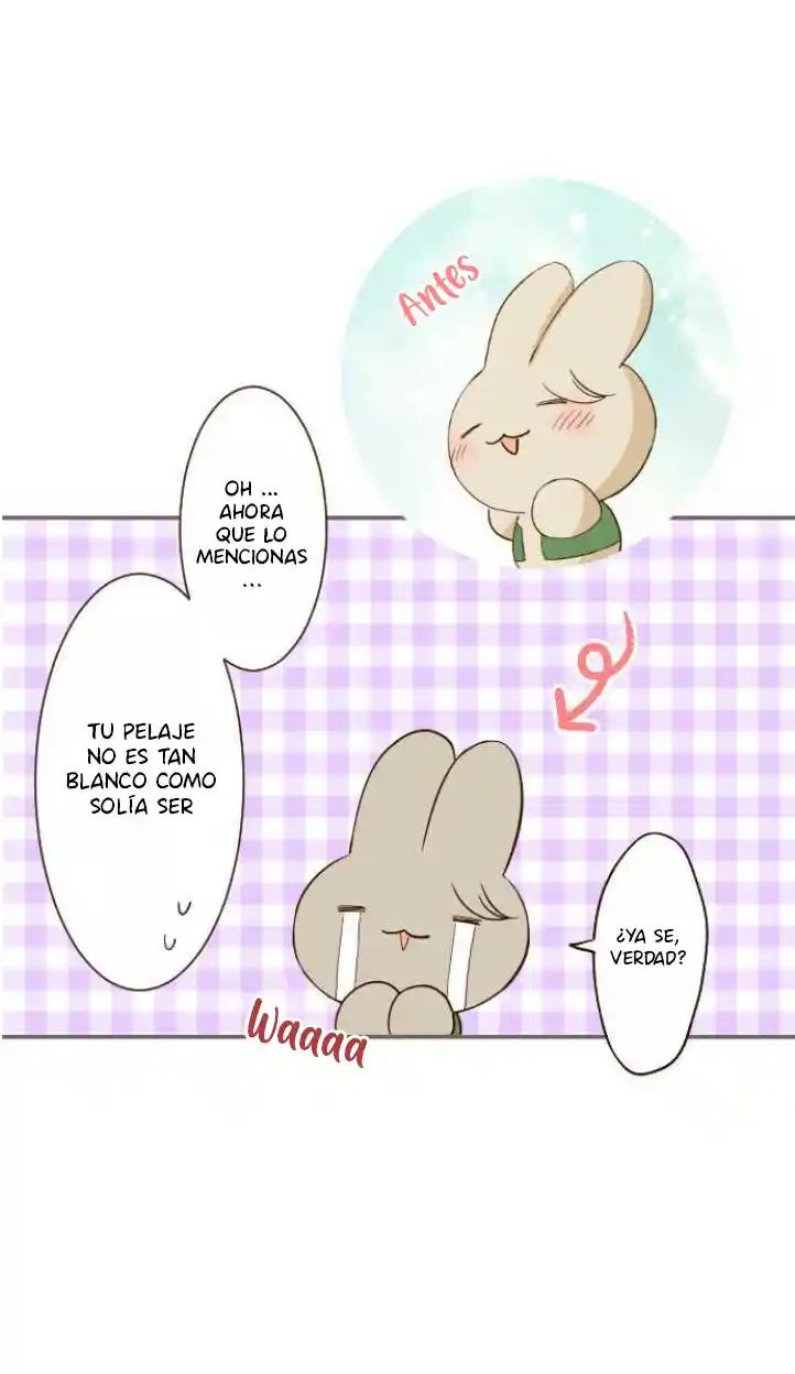 La Santa Protectora Del Dragón - Capítulo 14 - Página 32 - LectorTMOo