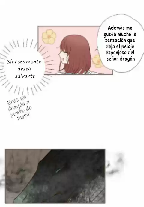 La Santa Protectora Del Dragón - Capítulo 3 - Página 27 - LectorTMOo