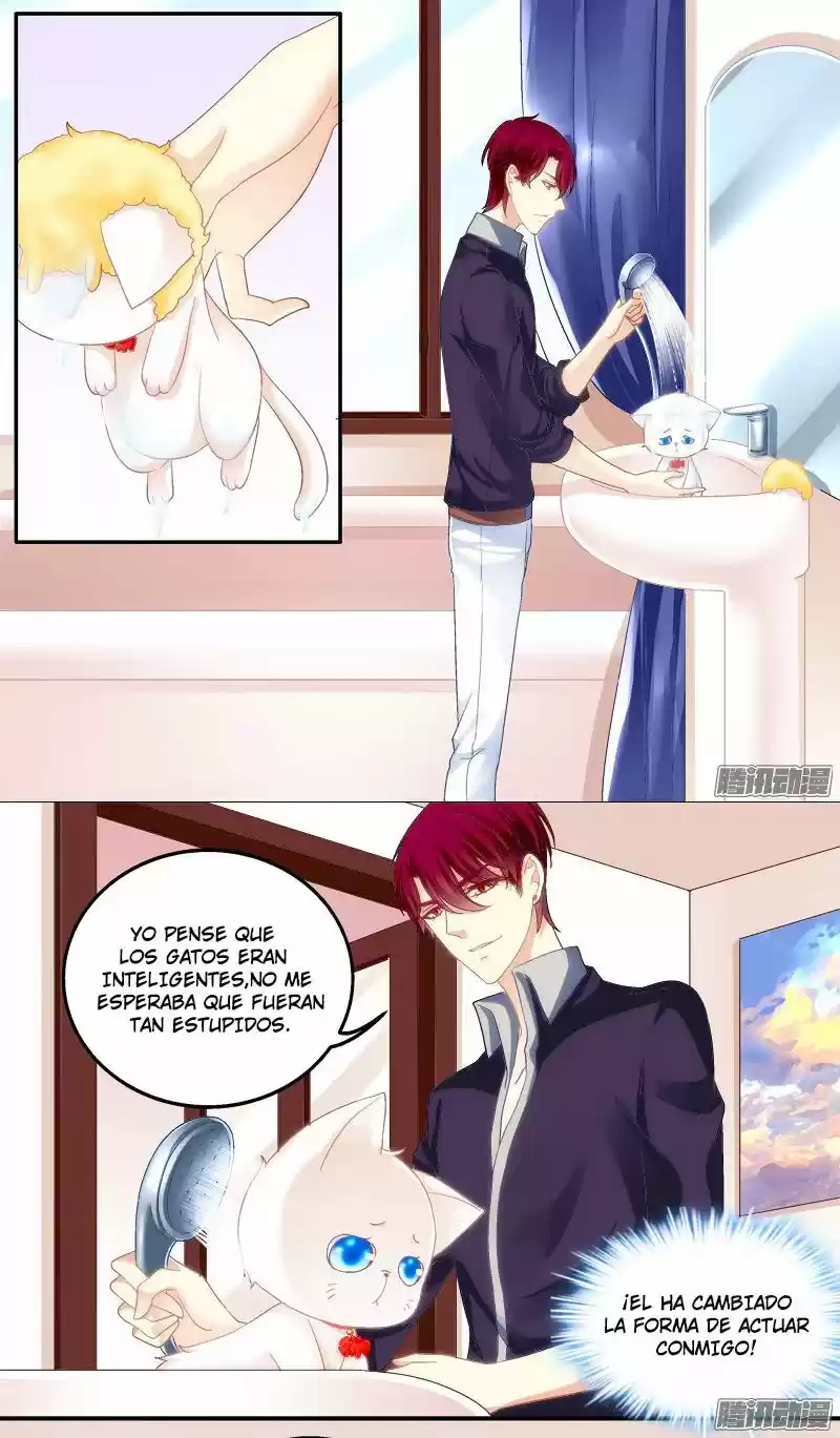 LA TENTACIÓN DEL GATO DEMONIO - Capítulo 1 - Página 31 - LectorTMOo
