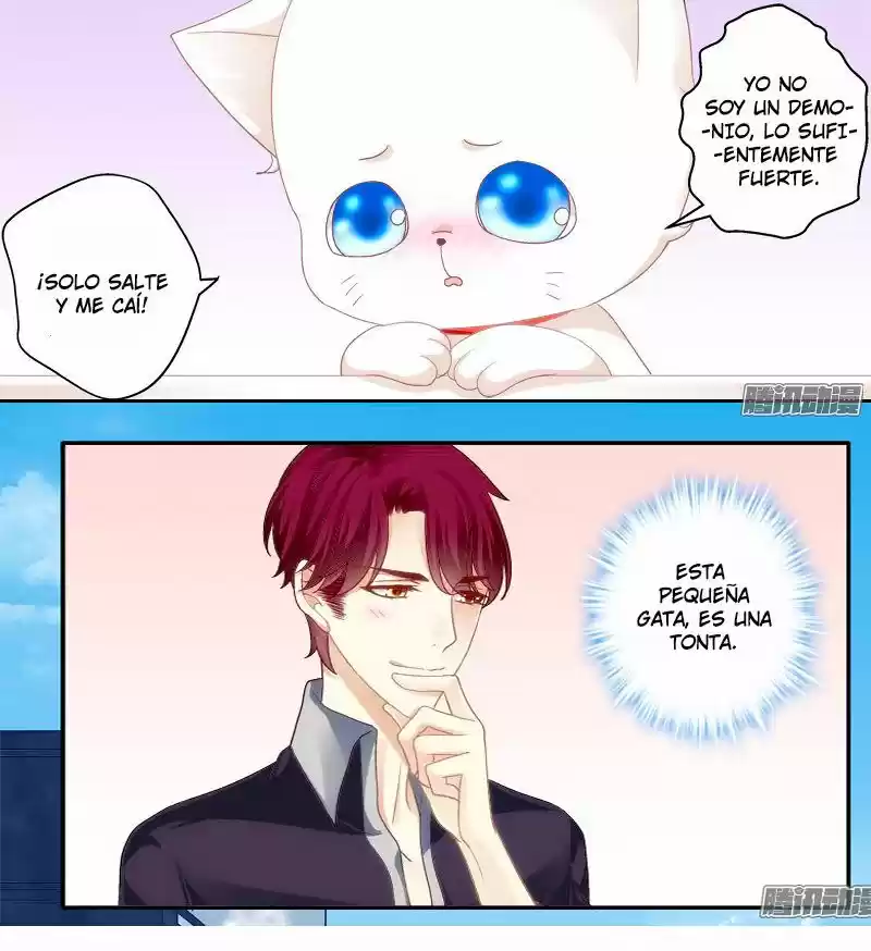 LA TENTACIÓN DEL GATO DEMONIO - Capítulo 1 - Página 34 - LectorTMOo