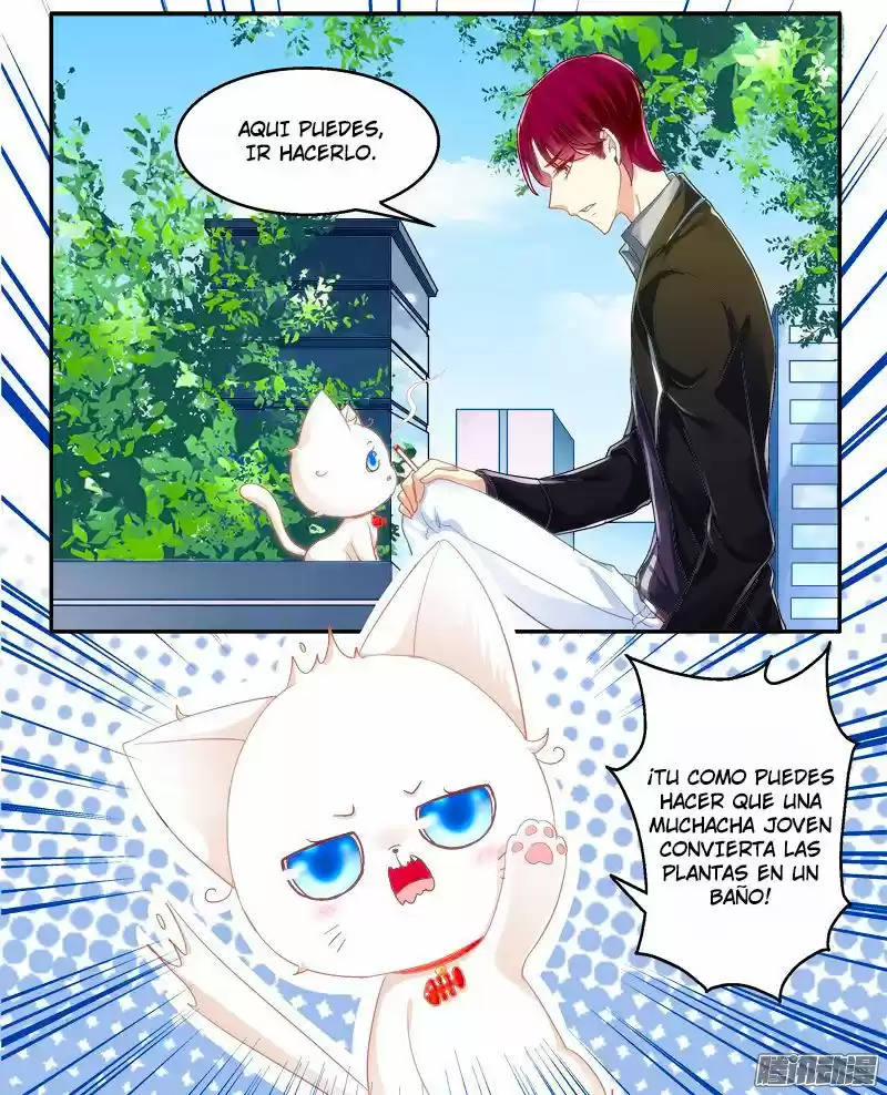 LA TENTACIÓN DEL GATO DEMONIO - Capítulo 1 - Página 36 - LectorTMOo
