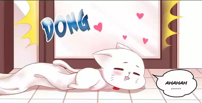 LA TENTACIÓN DEL GATO DEMONIO - Capítulo 2 - Página 26 - LectorTMOo