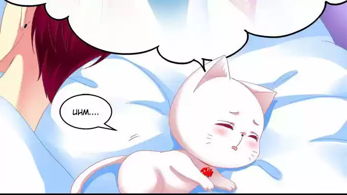 LA TENTACIÓN DEL GATO DEMONIO - Capítulo 4 - Página 27 - LectorTMOo