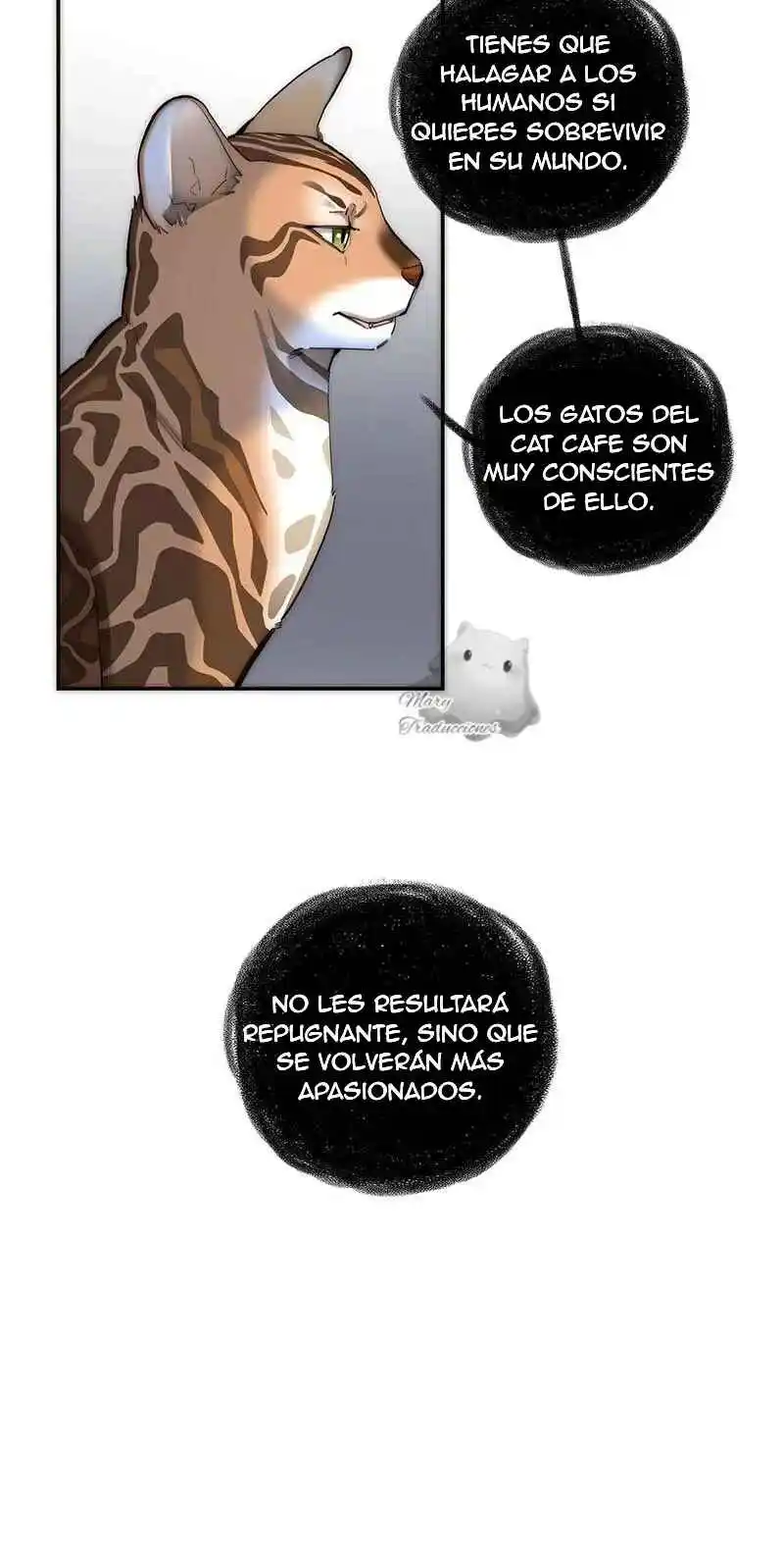 La Venganza De Kaylen Y La Redención Del Zorro - Capítulo 20 - Página 7 - LectorTMOo