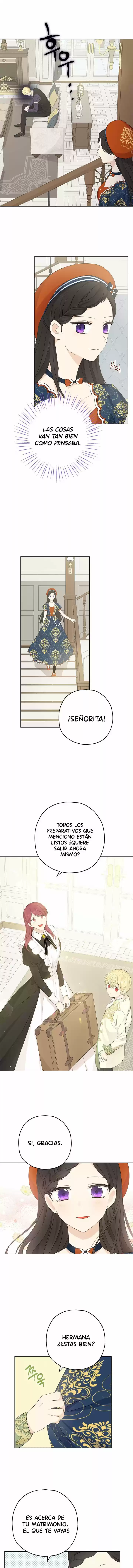 La Verdad (Novela) - Capítulo 33 - Página 8 - LectorTMOo