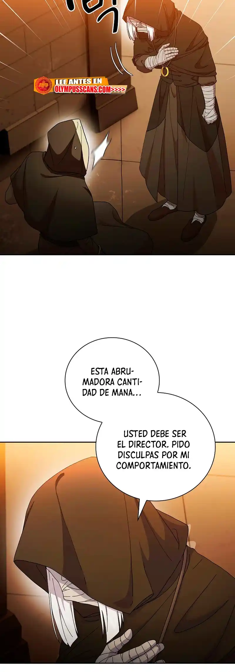La Vida De Un Mago De La Academia De Magia - Capítulo 41 - Página 25 - LectorTMOo