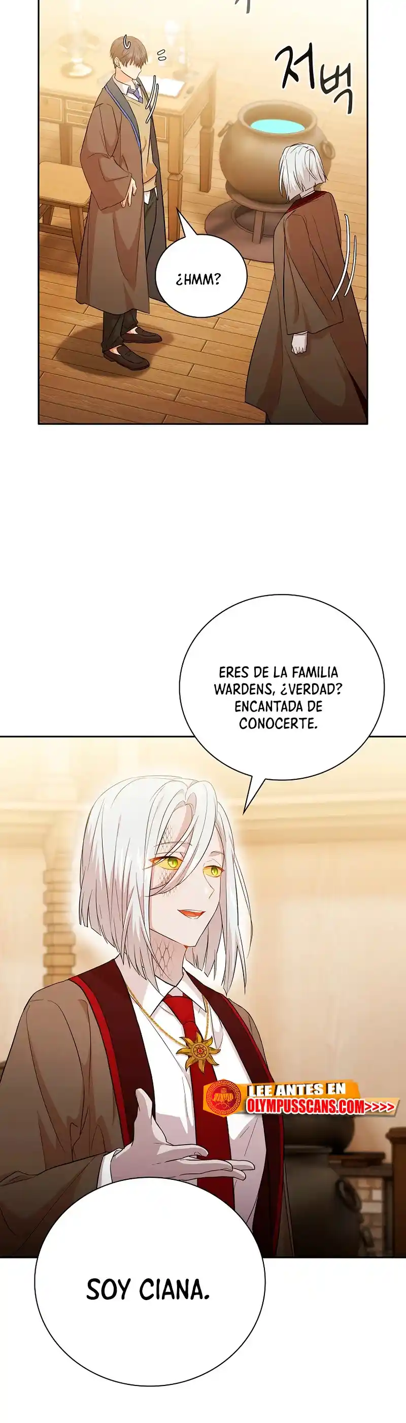 La Vida De Un Mago De La Academia De Magia - Capítulo 51 - Página 17 - LectorTMOo