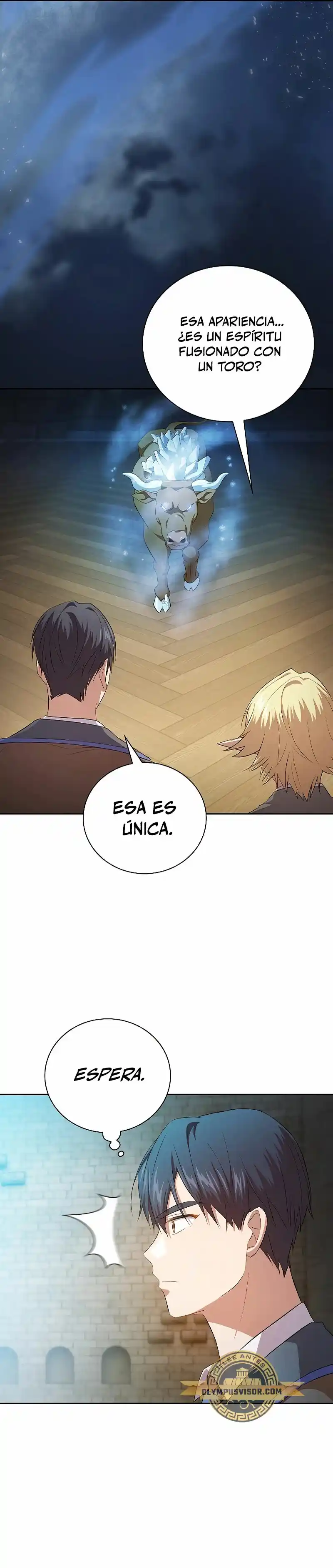 La Vida De Un Mago De La Academia De Magia - Capítulo 79 - Página 17 - LectorTMOo