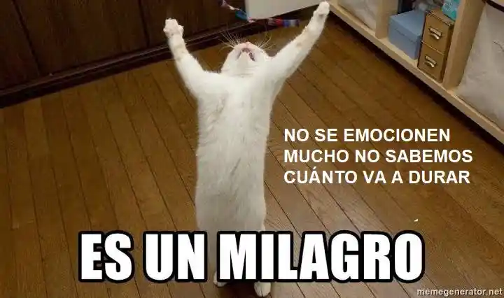 La Villana Hoy También Se Divierte - Capítulo 75 - Página 74 - LectorTMOo