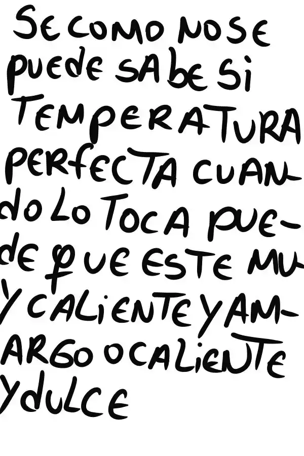La Voces De La Mentira - Capítulo 11 - Página 12 - LectorTMOo