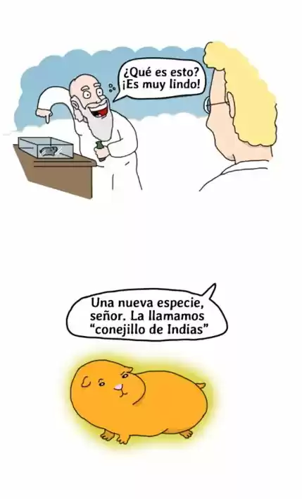 Las Aventuras De Una Letra. - Capítulo 2 - Página 9 - LectorTMOo