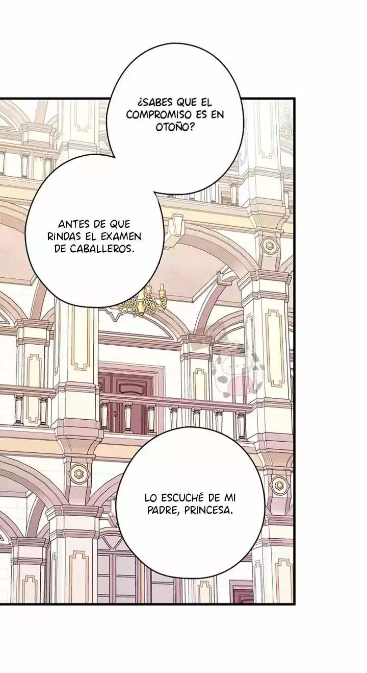 Las Flores Bailan Y El Viento Canta - Capítulo 49 - Página 19 - LectorTMOo