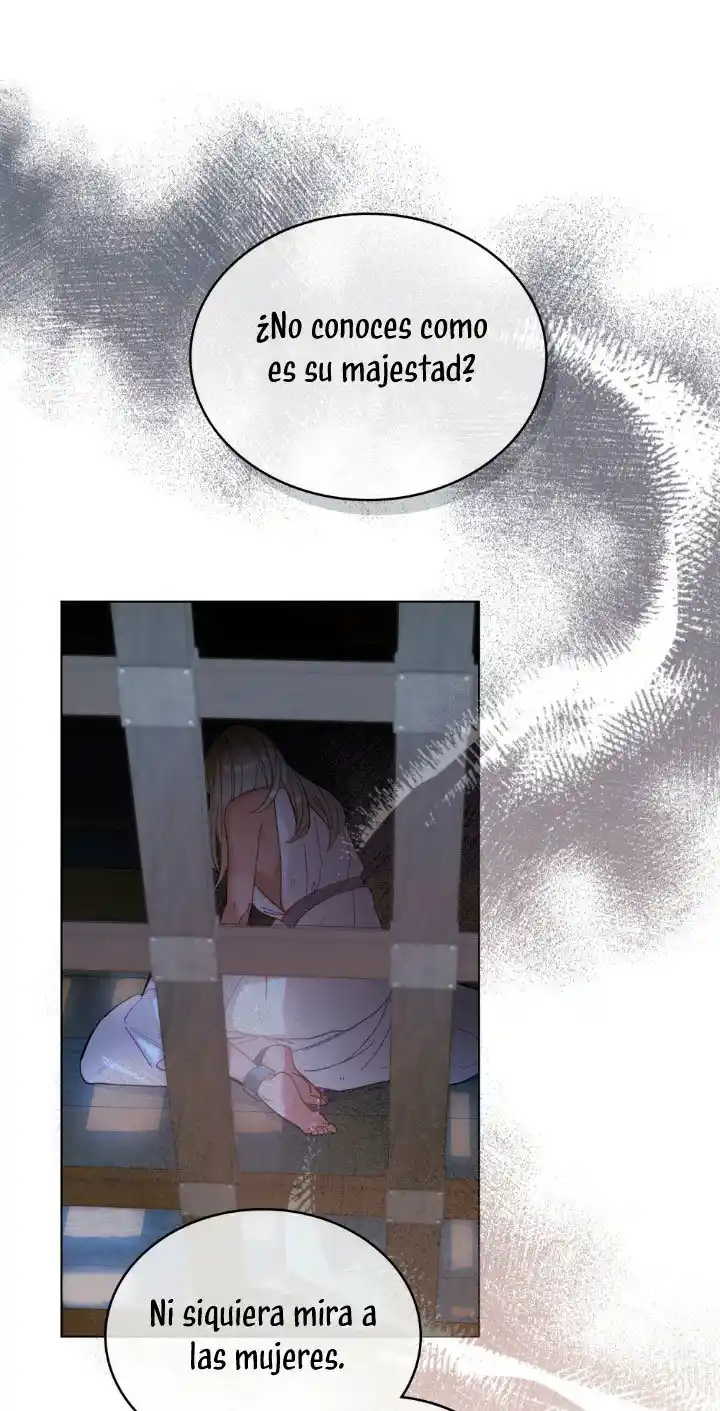 Las Mentiras Disfrazadas En Tí - Capítulo 5 - Página 24 - LectorTMOo
