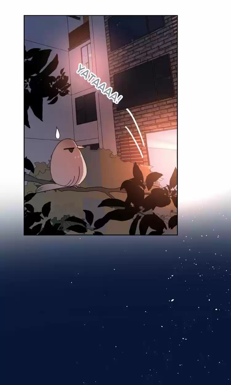 Las Miradas De Amor: El Corazón Tiene Sus Razones. - Capítulo 12 - Página 21 - LectorTMOo