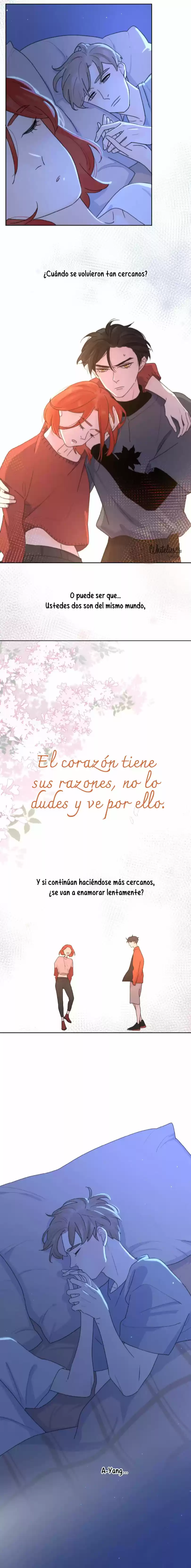 Las Miradas De Amor: El Corazón Tiene Sus Razones. - Capítulo 19 - Página 7 - LectorTMOo