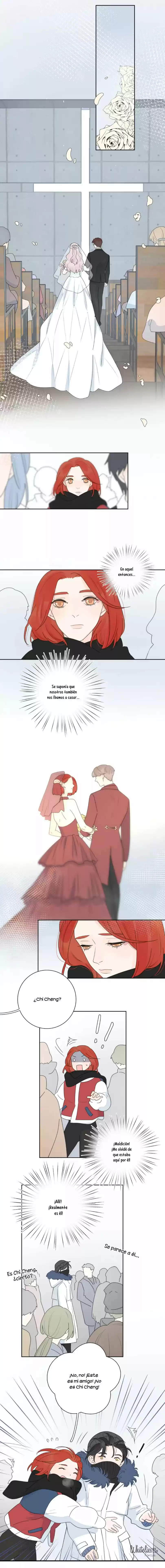 Las Miradas De Amor: El Corazón Tiene Sus Razones. - Capítulo 37 - Página 12 - LectorTMOo