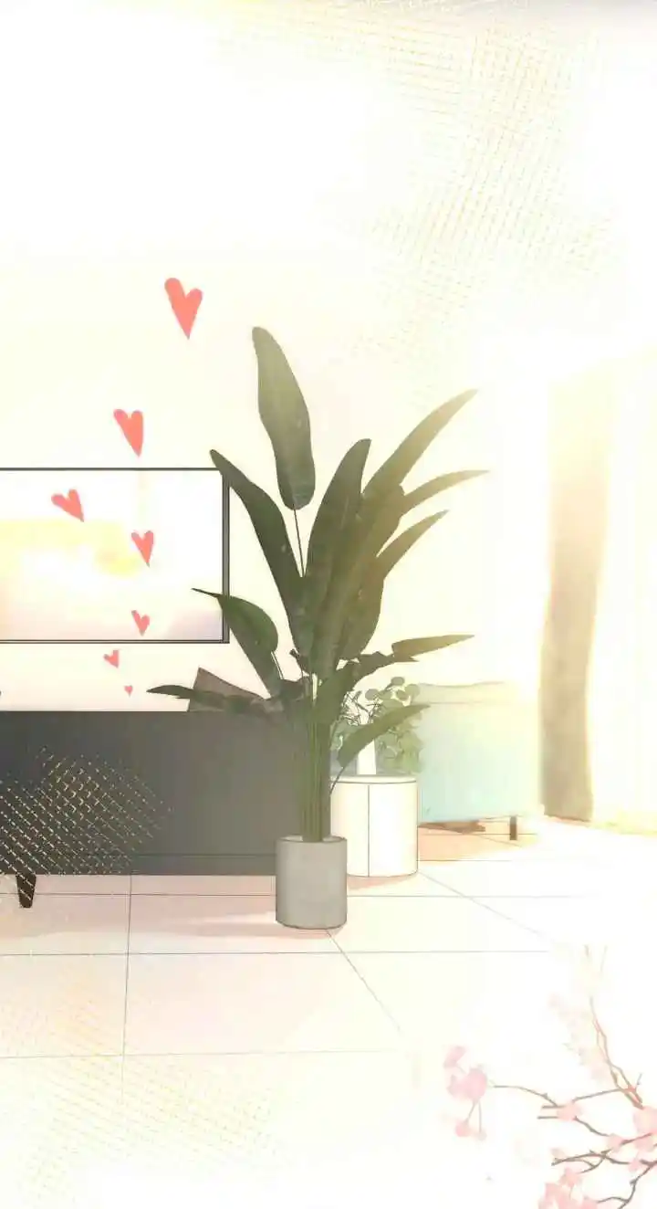 Las Miradas De Amor: El Corazón Tiene Sus Razones. - Capítulo 62.2 - Página 14 - LectorTMOo